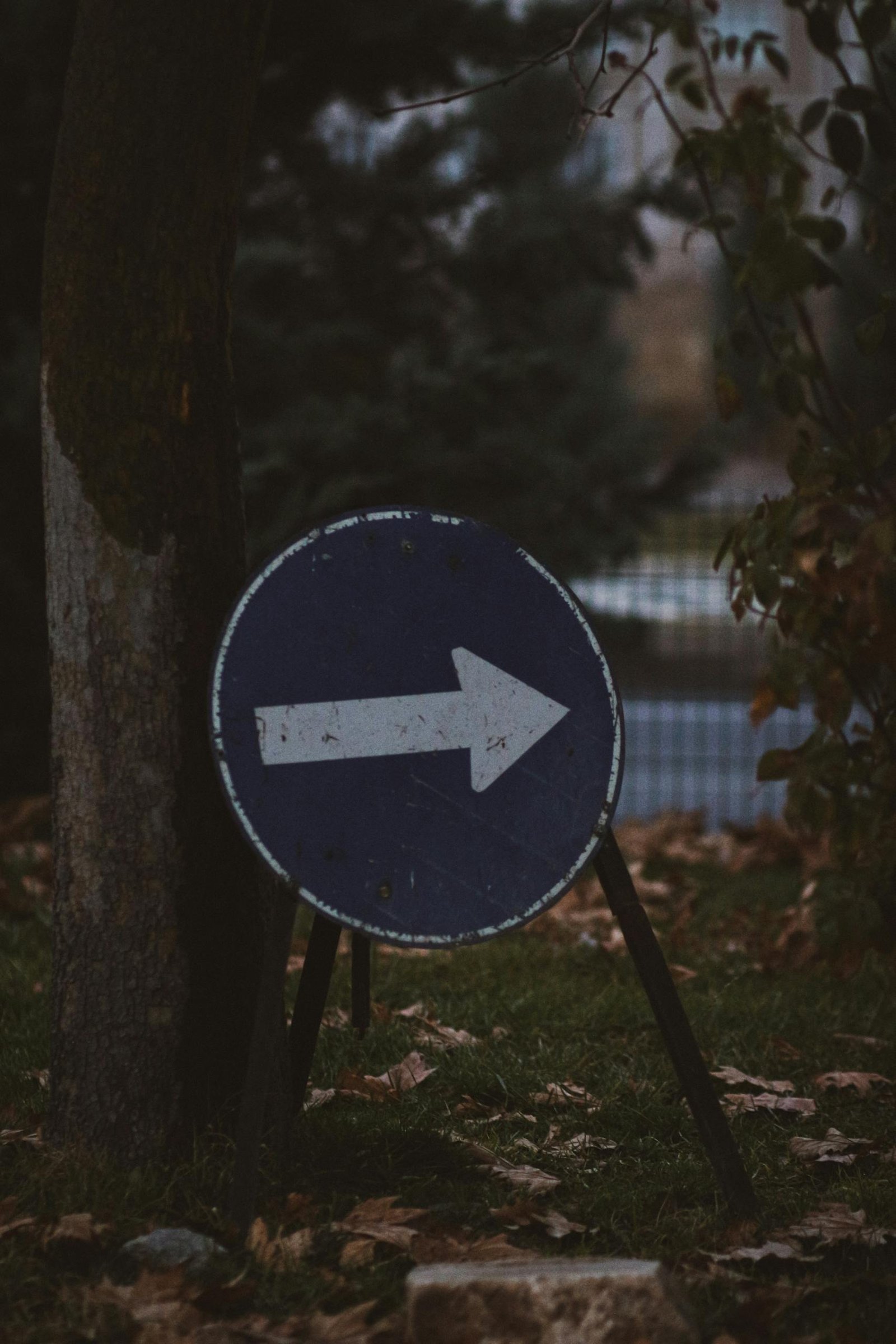 A vintage road sign with a right arrow amidst fallen autumn leaves and trees